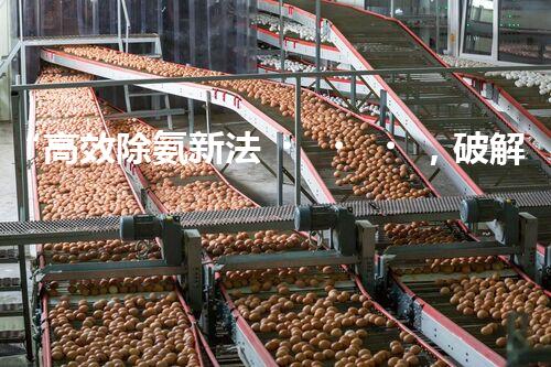“高效除氨新法，破解氨氮廢水超標(biāo)難題”